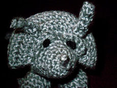 triceratops triceratops